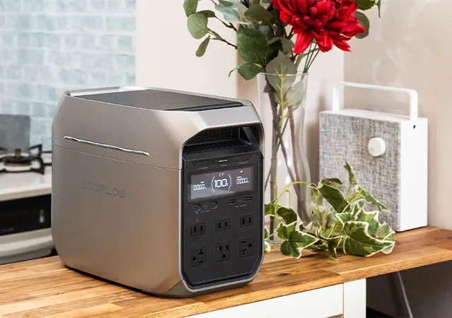 DELTA 3 Plusの写真