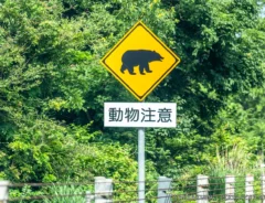 クマの『動物飛び出し注意』の警戒標識の写真