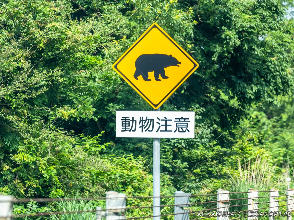 クマの『動物飛び出し注意』の警戒標識の写真