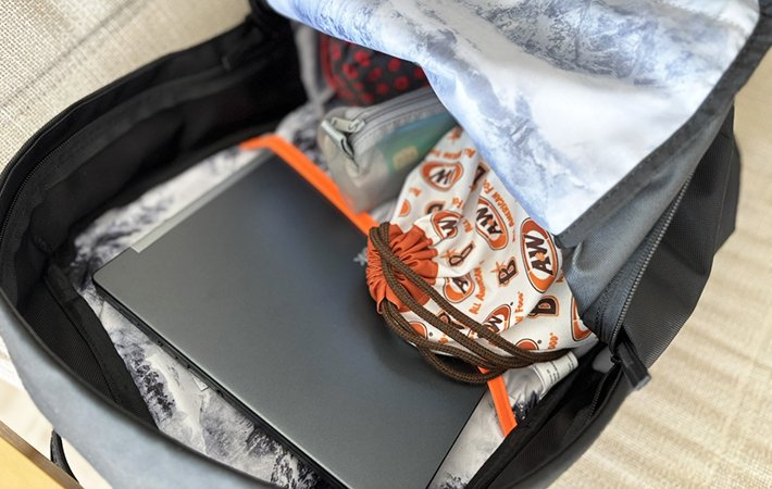 マムートの画像