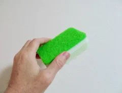 スポンジ