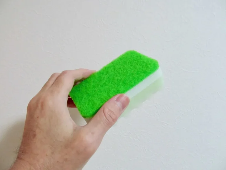 スポンジ