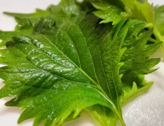大葉