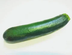 ズッキーニ