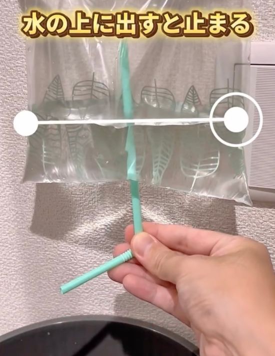 水を入れたフリーザーバッグに刺したストローのとがった部分を水面から出した様子