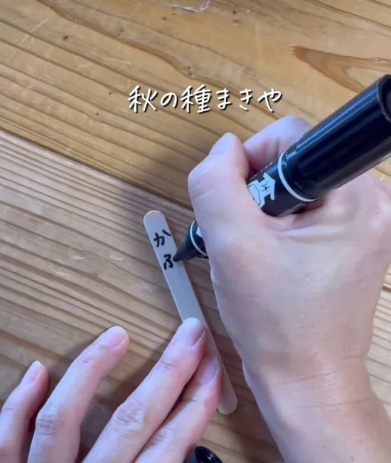 棒に植物の名前を書く様子