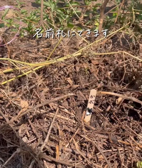 完成した名前札