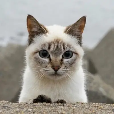 五十嵐健太の写真