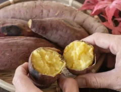 焼き芋はどのくらい日持ちする？適切な保存方法やおいしく食べる方法をご紹介