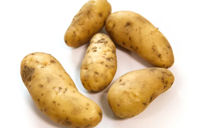 『男爵』や『メークイン』は秋植えには向かないの？