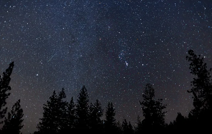 ”今年のオリオン座流星群はいつ？極大日や見頃の時間は？"