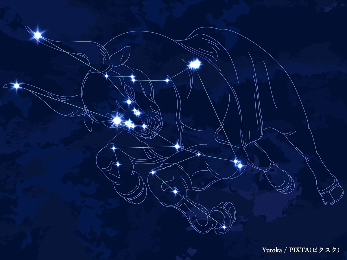 【2025年】おうし座流星群はいつ？方角は？南群と北群の違いも解説！