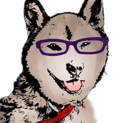 洋介犬の写真