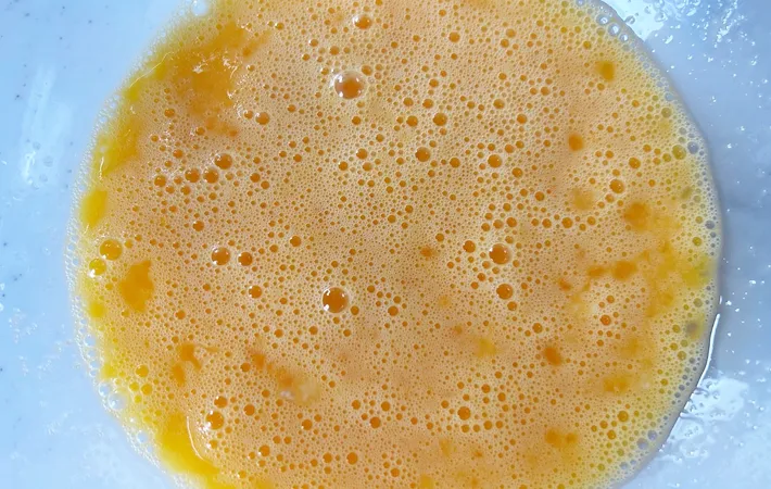 『炊飯器でプリン』を作る写真（撮影：エニママ）