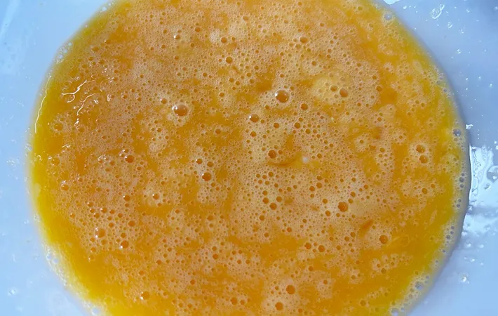 『炊飯器でプリン』を作る写真（撮影：エニママ）