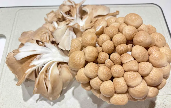 『炒めきのこの炊き込みご飯』の材料写真（撮影：エニママ）