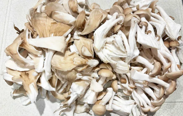 『炒めきのこの炊き込みご飯』を作る写真（撮影：エニママ）