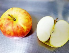 『りんごのチーズのせ』を作る写真（撮影：エニママ）