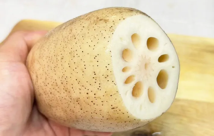 レンコンの写真（撮影：キジカク）