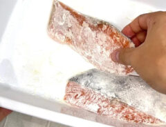 撮影：キジカク