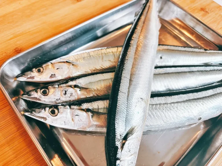 サンマの写真（撮影：キジカク）