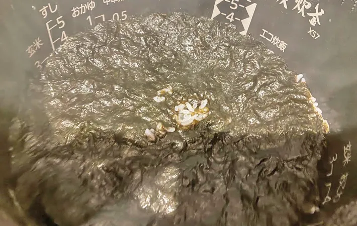 『海苔の炊き込みごはん』を作る写真（撮影：エニママ）