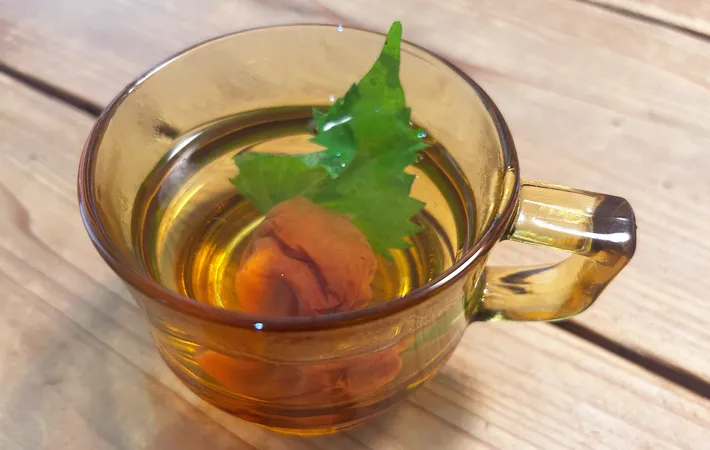 『梅しそ紅茶』を作る写真（撮影：エニママ）
