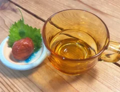 梅しそ紅茶の材料の写真（撮影：エニママ）