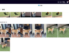 写真フォルダの画像