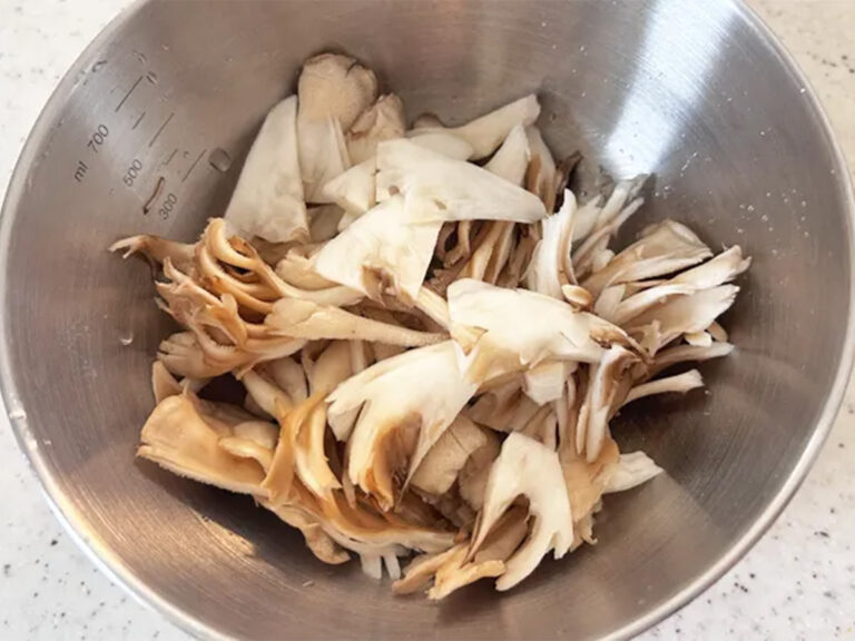 撮影：エニママ