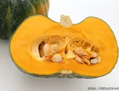 カボチャの断面の写真