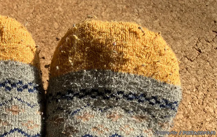 毛玉のついた靴下の写真