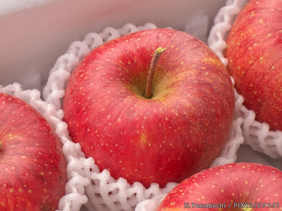 フルーツネットのついたリンゴの写真
