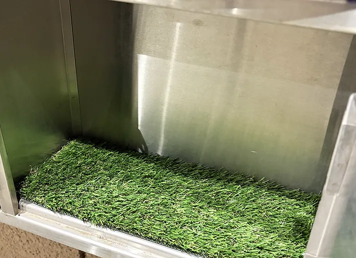 ダイソーの『人工芝』を活用した画像（撮影：grape編集部）