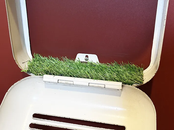 ダイソーの『人工芝』を活用した画像（撮影：grape編集部）