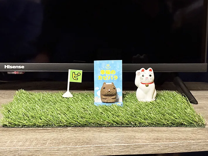 ダイソーの『人工芝』を活用した画像（撮影：grape編集部）