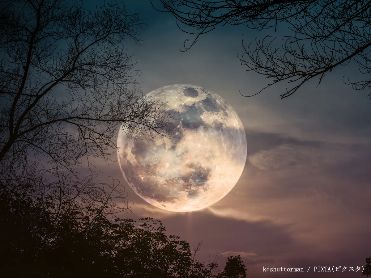 満月の写真