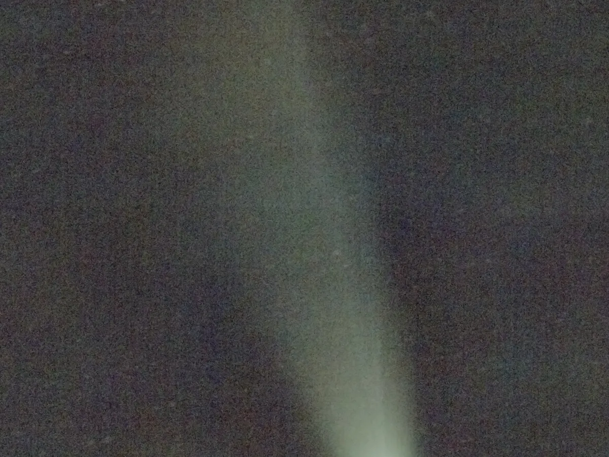 高校生が撮影したレモン彗星の写真