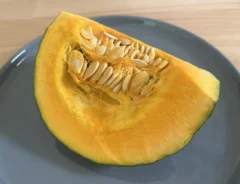 カボチャの写真（撮影：grape編集部）