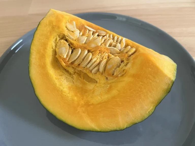 カボチャの写真（撮影：grape編集部）