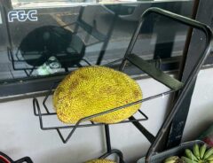 ジャックフルーツ（撮影：grape編集部）