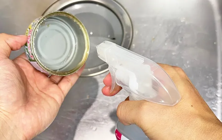 『ダイソー セスキクリーナー』の使用写真（撮影：キジカク）