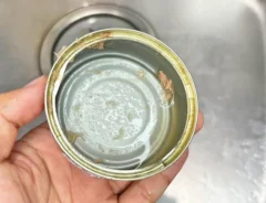 『空のツナ缶』写真（撮影：キジカク）