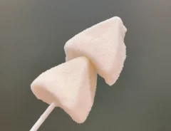 ダイソー『おでんマシュマロ』の写真（撮影：grape編集部）