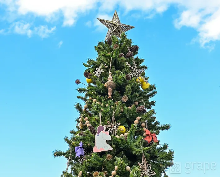 東京ディズニーシーのクリスマスイベント（撮影：奥西淳二）