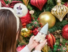 東京ディズニーリゾートのクリスマスの写真の撮り方（撮影：奥西淳二）