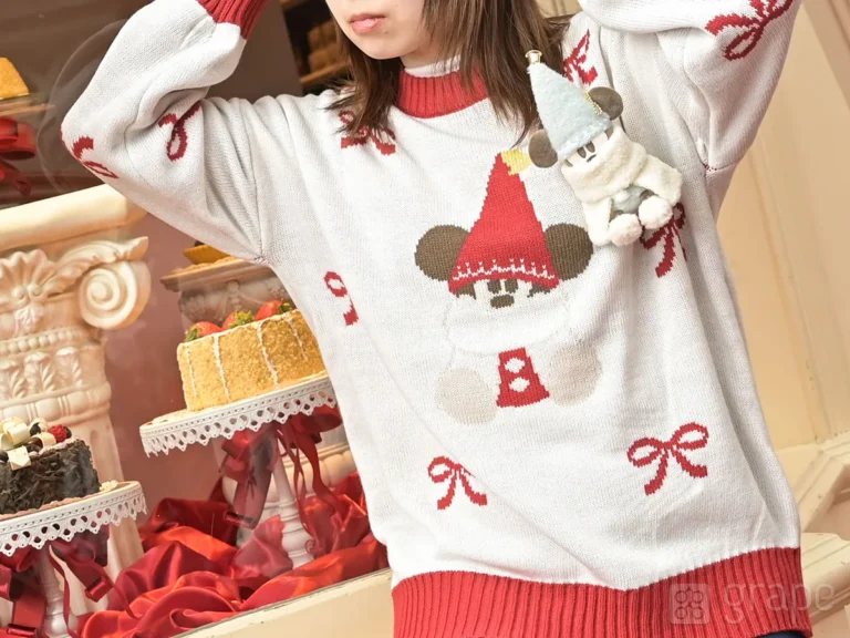 ディズニークリスマス注目グッズ（撮影：grape編集部）