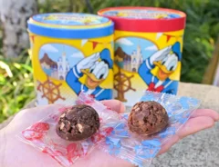 『チョコレートクランチ』の写真（撮影：grape編集部）