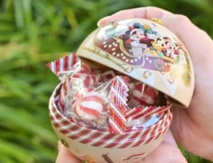 ディズニー土産のキャンディー（撮影：grape編集部）