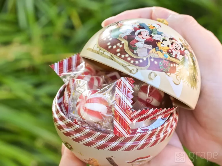 ディズニー土産のキャンディー(撮影:grape編集部)